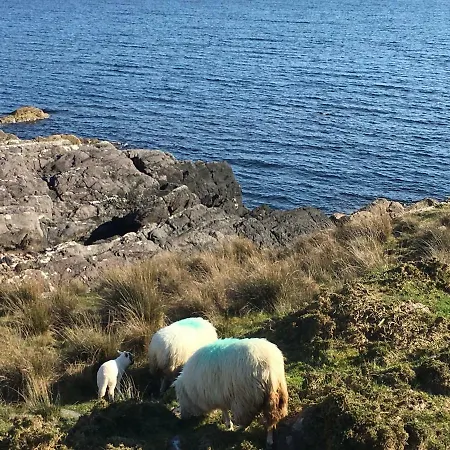 Beechwood 6 - Luxurious Living Βίλα *