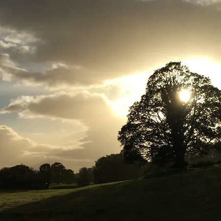 Beechwood 6 - Luxurious Living * Kenmare