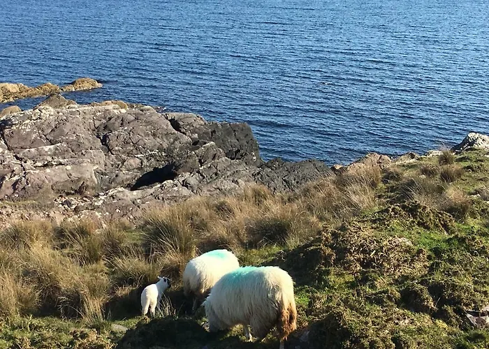 Beechwood 6 - Luxurious Living Villa *