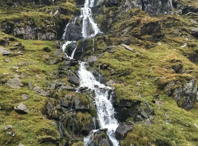 Beechwood 6 - Luxurious Living