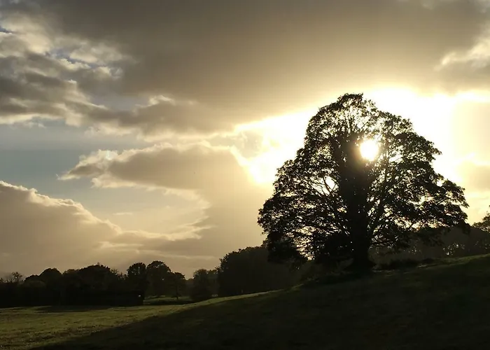 Beechwood 6 - Luxurious Living * Kenmare